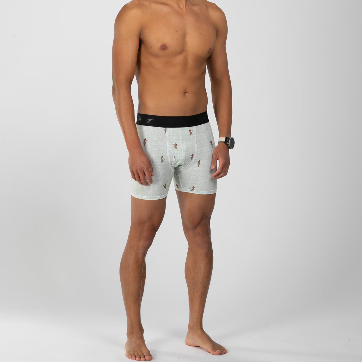 Zoot Sports LIFESTYLE Men's Ltd Boxer Brief - Hula Girl