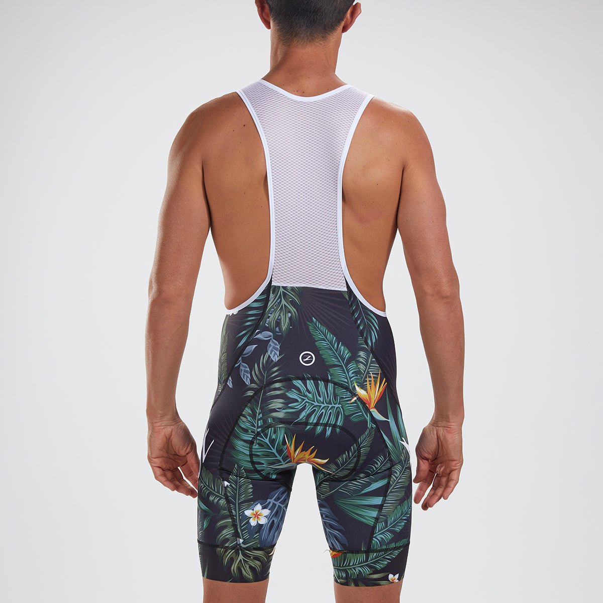 Zoot Sports Cycle Bottoms Mens LTD Cycle Bib - Waikoloa
